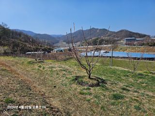 장정규님의 기타작물 · 영농일지 작성글 사진