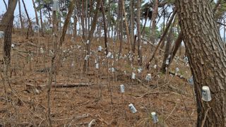 이철수님의 기타작물 · 영농일지 작성글 사진