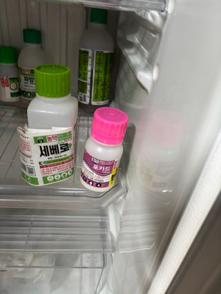 김영완님의 파 · 영농일지 작성글 사진