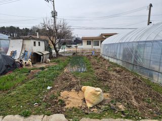 안일봉님의 감자 · 영농일지 작성글 사진