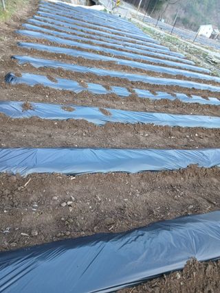 인생은 소풍처럼~님의 작성글 사진