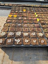 신상섭님의 작성글 사진