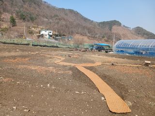 김홍중님의 두릅 · 영농일지 작성글 사진