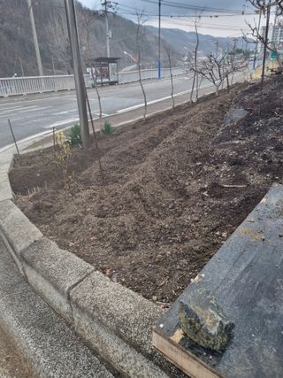 김용대님의 기타작물 · 영농일지 작성글 사진