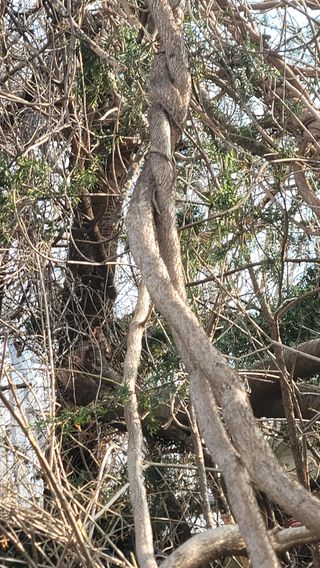 서초농원님의 기타작물 · 영농일지 작성글 사진