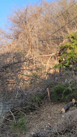 서초농원님의 기타작물 · 영농일지 작성글 사진