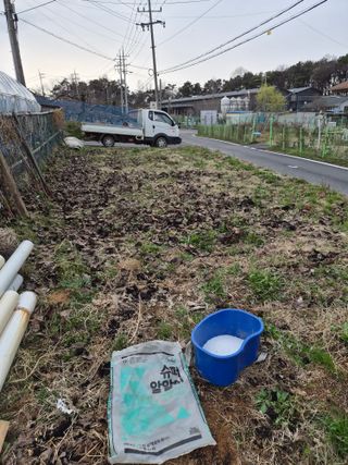 안일봉님의 작성글 사진