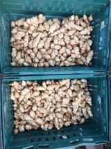 팜모닝 감자·영농일지 게시글 이미지