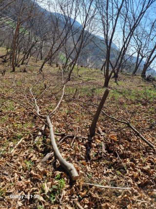 김 기 동님의 작성글 사진