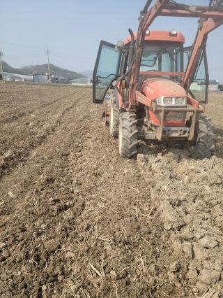 이상철님의 기타작물 · 영농일지 작성글 사진