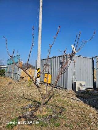 장정규님의 기타작물 · 영농일지 작성글 사진