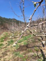 조정미님의 작성글 사진