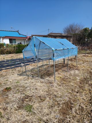 강동신님의 포도 · 영농일지 작성글 사진