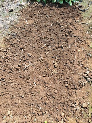 한림한경님의 기타작물 · 영농일지 작성글 사진