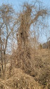 서초농원님의 작성글 사진