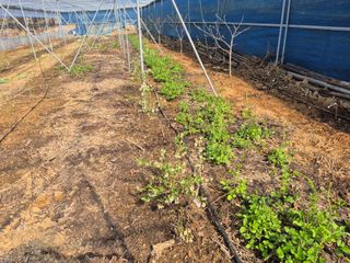 최진일님의 작성글 사진