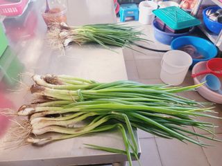 한경훈님의 기타작물 · 영농일지 작성글 사진