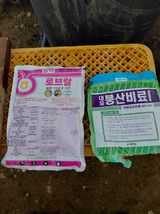 손영호님의 작성글 사진