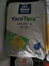 팜모닝 귤·영농일지 게시글 이미지