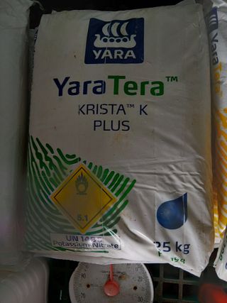 라이온3241님의 귤 · 영농일지 작성글 사진