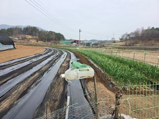 착한농부 안병하님의 기타작물 · 영농일지 작성글 사진