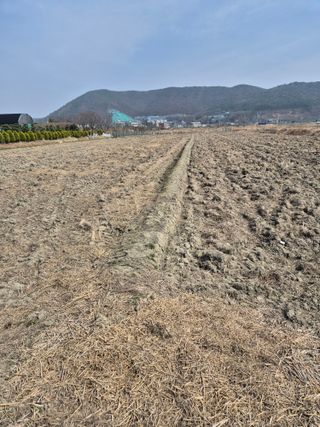 곰새끼님의 기타작물 · 영농일지 작성글 사진