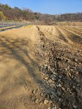 우진수님의 작성글 사진