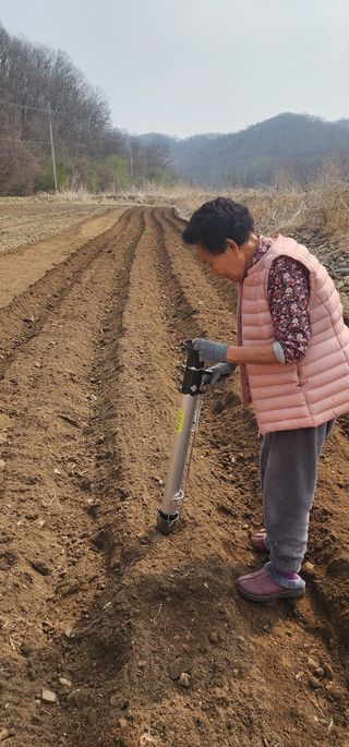 초보농부님의 감자 · 영농일지 작성글 사진