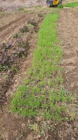 홍광희님의 작성글 사진