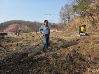 도심농부님의 기타작물 · 영농일지 작성글 사진