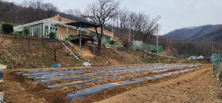 성만기님의 기타작물 · 영농일지 작성글 사진