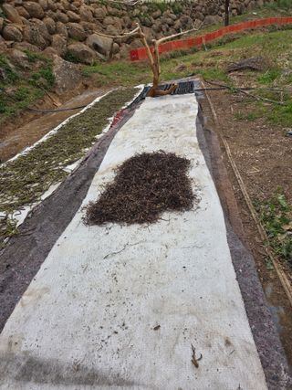 쌍둥이농장님의 기타작물 · 영농일지 작성글 사진