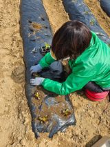 박홍권님의 작성글 사진