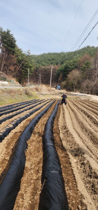 이철님의 기타작물 · 영농일지 작성글 사진