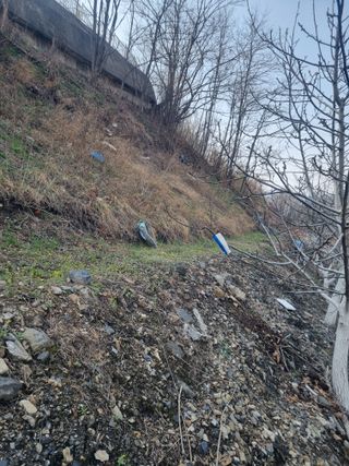 김용대님의 기타작물 · 영농일지 작성글 사진