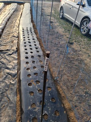 백영호님의 기타작물 · 영농일지 작성글 사진