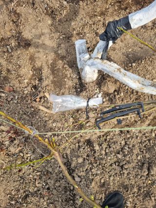 김용대님의 기타작물 · 영농일지 작성글 사진