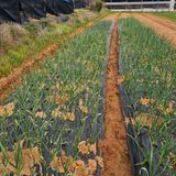 설장구님의 작성글 사진