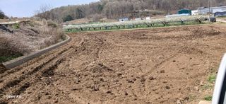 이형근님의 벼 · 영농일지 작성글 사진