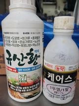 팜모닝 양파·영농일지 게시글 이미지