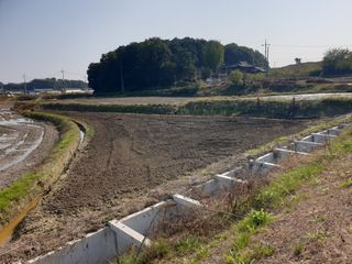 정연규님의 기타작물 · 영농일지 작성글 사진