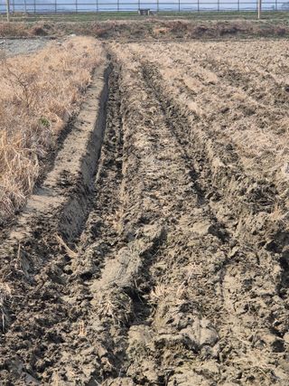 곰새끼님의 기타작물 · 영농일지 작성글 사진