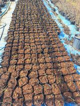 이재국님의 작성글 사진