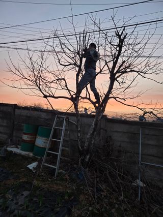 안일봉님의 기타작물 · 영농일지 작성글 사진