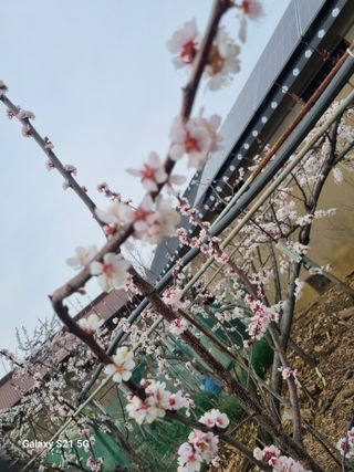 김 기 동님의 기타작물 · 영농일지 작성글 사진