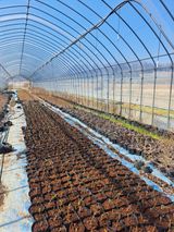 이재국님의 작성글 사진