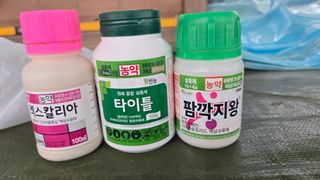 전진원님의 포도 · 영농일지 작성글 사진