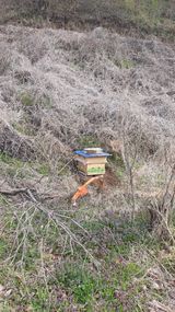 홍광희님의 작성글 사진