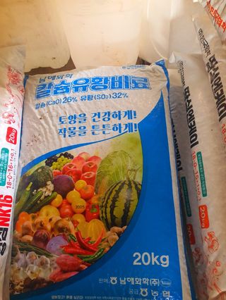 오이8898황산면님의 고추 · 영농일지 작성글 사진