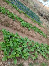 인생은 소풍처럼~님의 작성글 사진